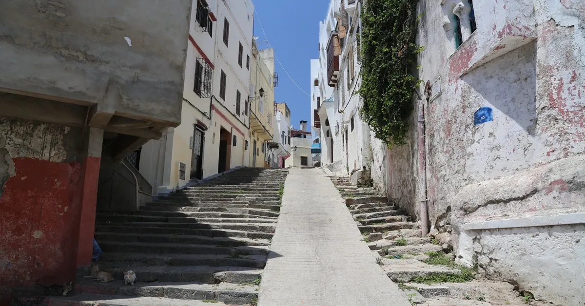 Unique 7 Days Tour From Tangier to Marrakech