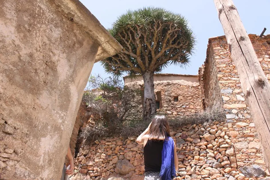 Area of the Dragon Tree Ajgal